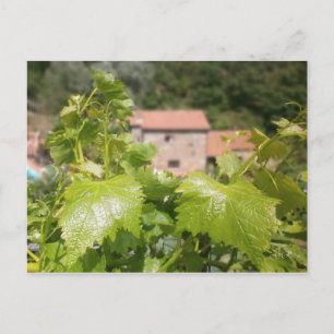 Toskana. Italien. Cortona. Postkarte