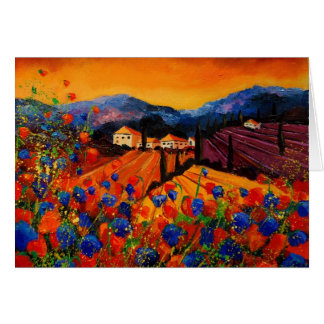 Toskana-Mohnblumen 45