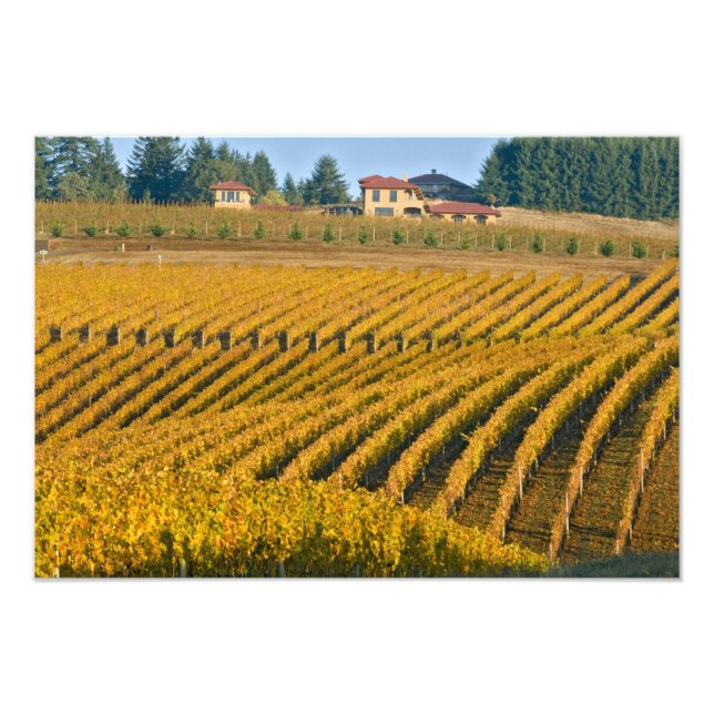 Toskanisch aussehendes Black Walnut Inn oberhalb d Fotodruck (Vorne)