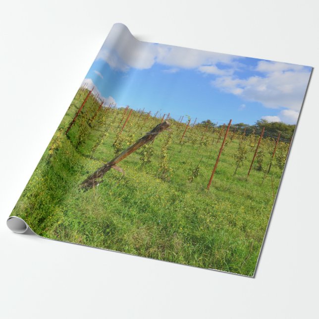 Toskanischer Weinberg Geschenkpapier (Ungerollt)