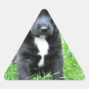 Totadorable Welpe Dreieckiger Aufkleber