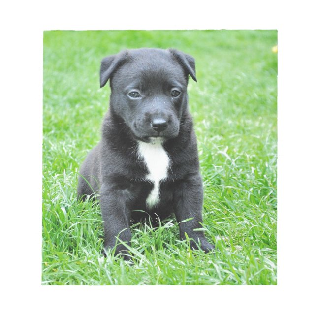 Totadorable Welpe Notizblock (Vorderseite)