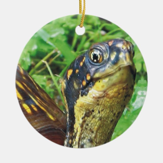 Total Schildkröte-Schildkröte-Weihnachtsverzierung Keramik Ornament (Vorne)