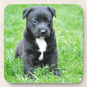 Totally Adorable Puppy Getränkeuntersetzer