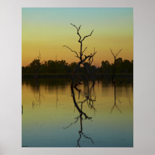 Tote Bäume, reflektiert in Lily Creek Lagoon, Morg Poster