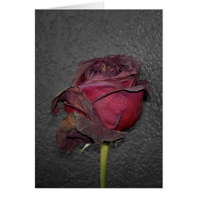 Tote Rosen (Vorne)
