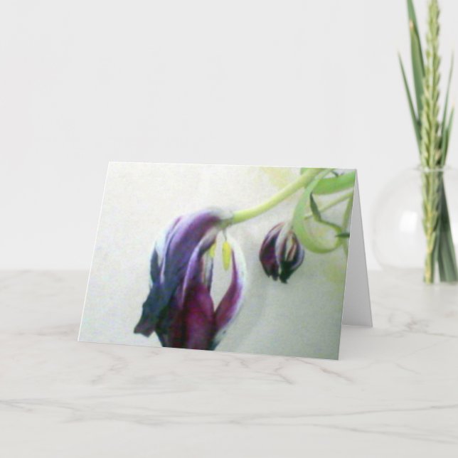Tote Tulips Karte (Vorderseite)