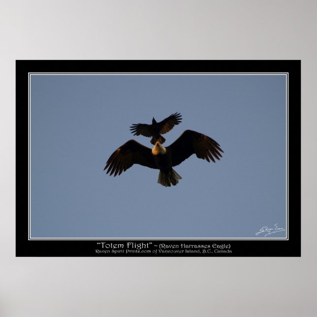 TOTEM FLIGHT ~ Foto Poster (Vorne)