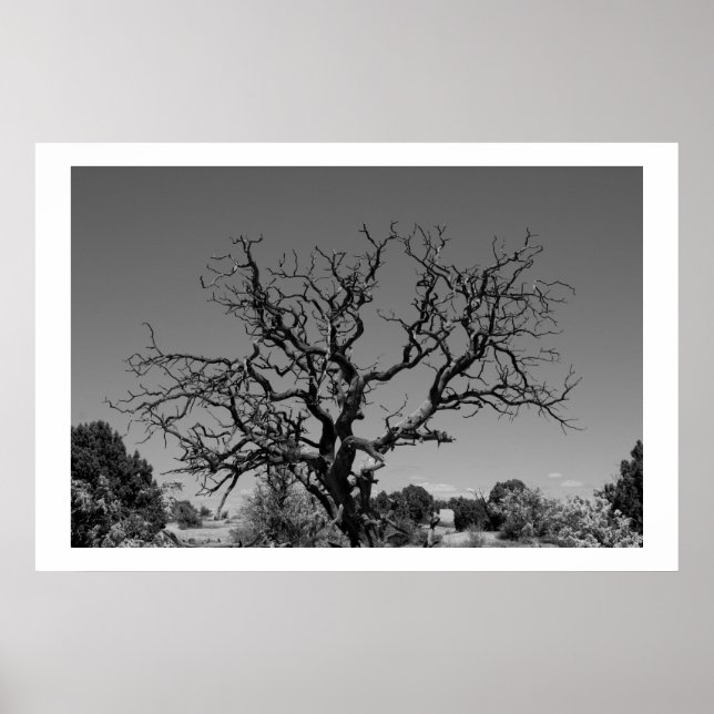Totenbaum Poster (Vorne)