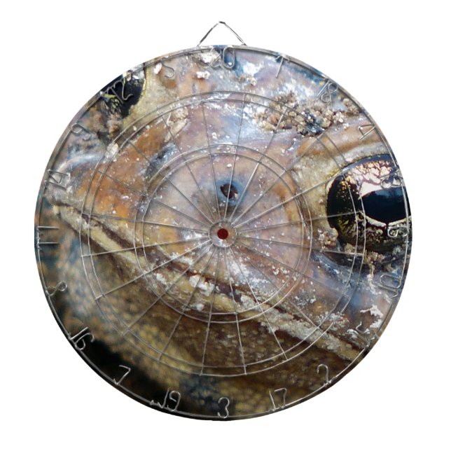 Totenfläche Dartscheibe (vorne)