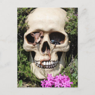 Totenkopf - Gothic / Postkarte
