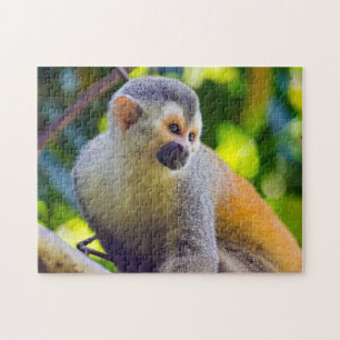 Totenkopfaffe in Manuel Antonio NP - Costa Rica Puzzle