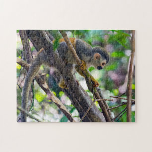 Totenkopfaffe in Manuel Antonio NP - Costa Rica Puzzle