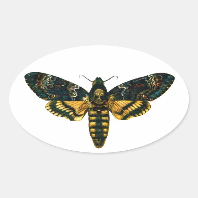 Totenkopfmoth Ovaler Aufkleber (Vorderseite)