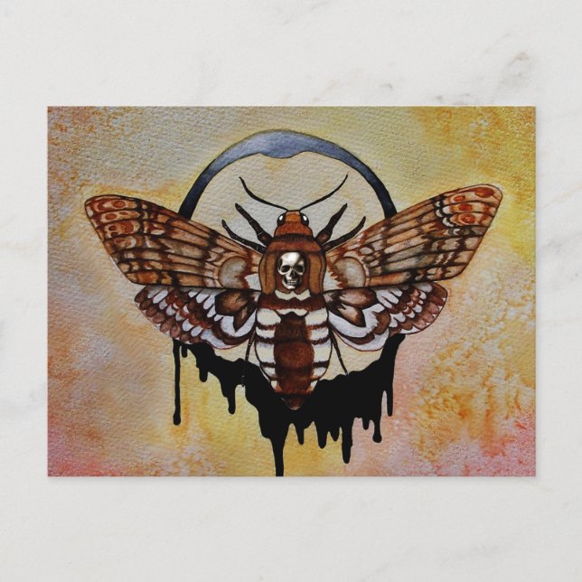 Totenkopfmoth Postkarte (Vorderseite)