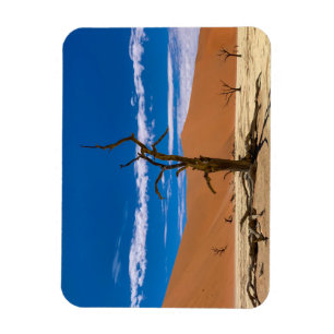 Toter Baum in Deadvlei Magnet