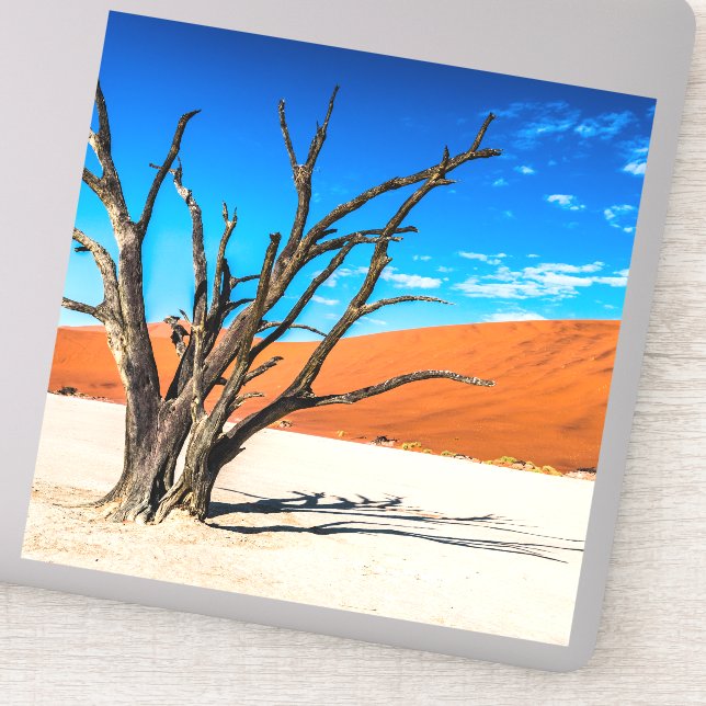 Toter Baum in Deadvlei, Namibia Aufkleber (Detail)