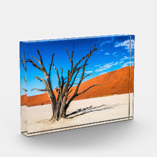 Toter Baum in Deadvlei, Namibia Fotoblock