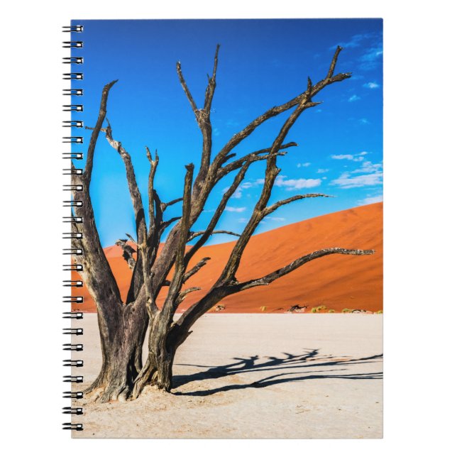 Toter Baum in Deadvlei, Namibia Notizblock (Vorderseite)