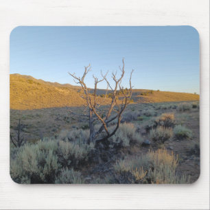 Toter Baum in der Nevada-Wüste Mousepad