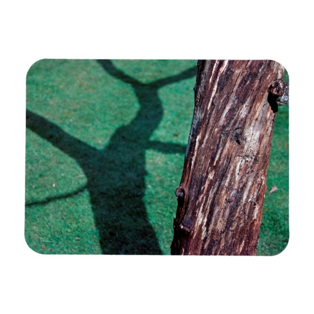 Toter Baum Magnet (Horizontal)