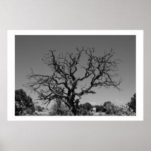 Toter Baum Poster