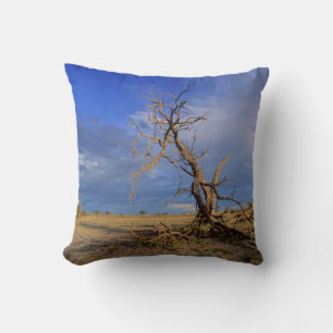 Toter Kamel Thorn (Acacia Erioloba) Baum Kissen