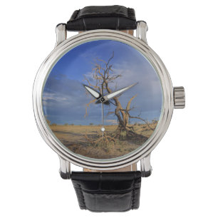 Toter Kameldorn (Acacia Erioloba) Baum Armbanduhr