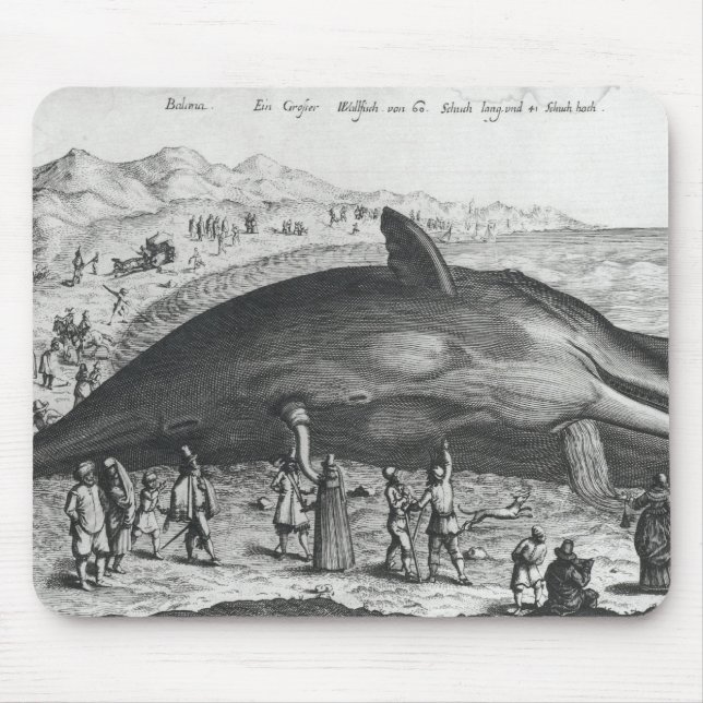 Toter Wal Mousepad (Vorne)