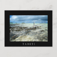 Totes Holz im Pazifik, schwarzer Text, Postkarte