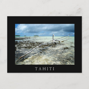 Totes Holz im Pazifik, schwarzer Text, Postkarte