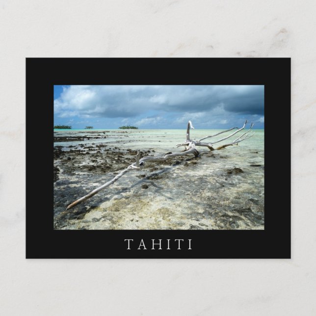 Totes Holz im Pazifik, schwarzer Text, Postkarte (Vorderseite)