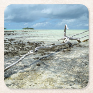 Totes Holz im pazifischen Untersetzer