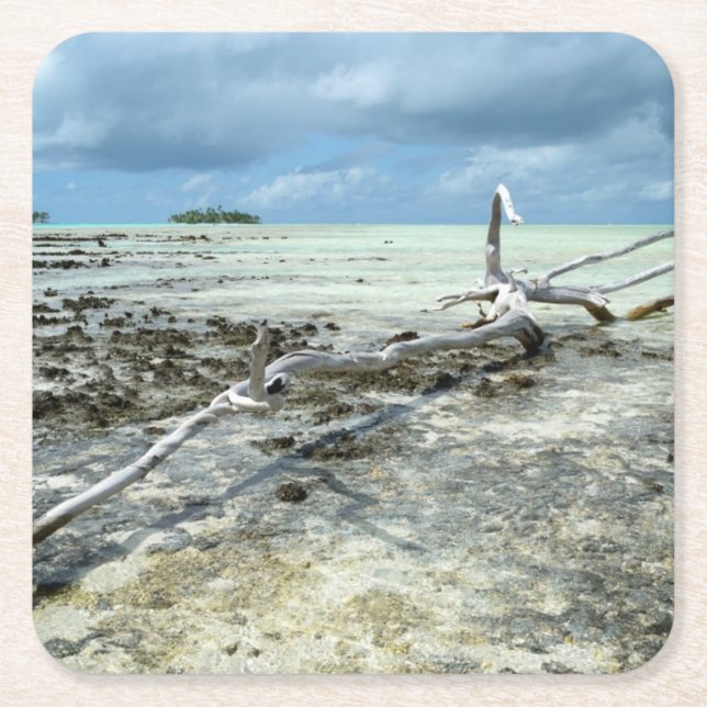 Totes Holz im pazifischen Untersetzer (Vorderseite)