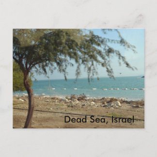 Totes Meer, Israel Postkarte