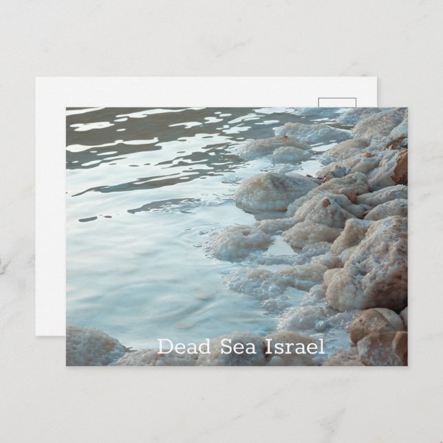 Totes Meer Israel Postkarte (Vorne/Hinten)