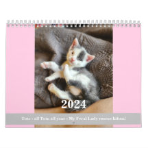 Toto Kitten (My Feral Lady Rescue) 2024 Kalender