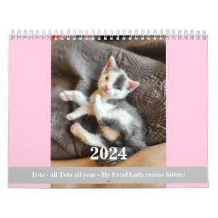 Toto Kitten (My Feral Lady Rescue) 2024 Kalender