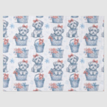 Toto, Zauberer von Oz