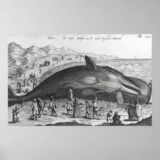 Totwal Poster (Vorne)