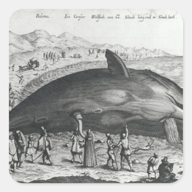 Totwal Quadratischer Aufkleber (Vorderseite)