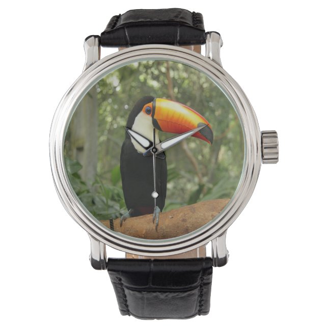 Toucan am Baumzweig Armbanduhr (Vorderseite)