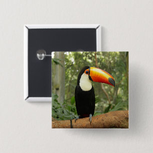 Toucan am Baumzweig Button