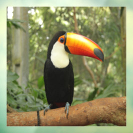 Toucan am Baumzweig Fensteraufkleber