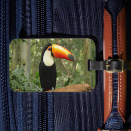 Toucan am Baumzweig Gepäckanhänger