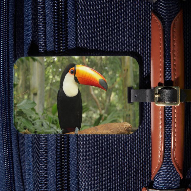 Toucan am Baumzweig Gepäckanhänger (Vorderseite Insitu 4)