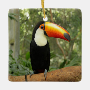 Toucan am Baumzweig Keramikornament