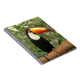 Toucan am Baumzweig Notizblock