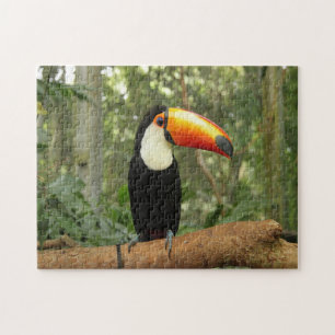 Toucan am Baumzweig Puzzle