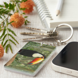 Toucan am Baumzweig Schlüsselanhänger